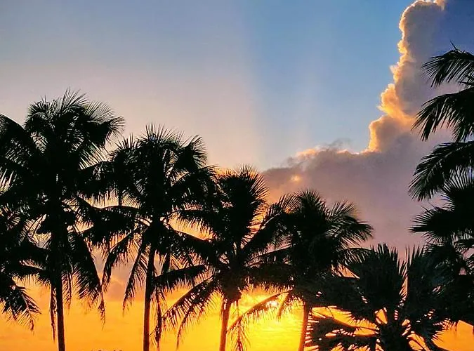 Sherry Frontenac Oceanfront